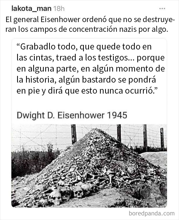 Montón de huesos humanos en campo nazi reservado por orden de Eisenhower, demostrando envejecer como el vino con la verdad histórica.