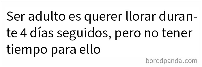 Frase graciosa sobre la adultez y la falta de tiempo, parte del círculo de idiotas en publicaciones divertidas.