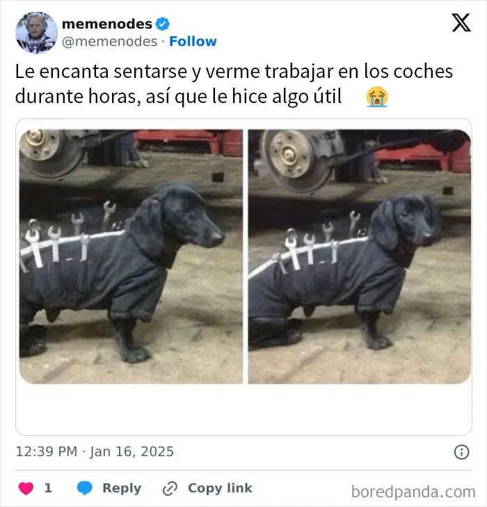 Rata feliz comiendo pasta en el hombro de una persona, imagen divertida para combatir el aburrimiento con memes.