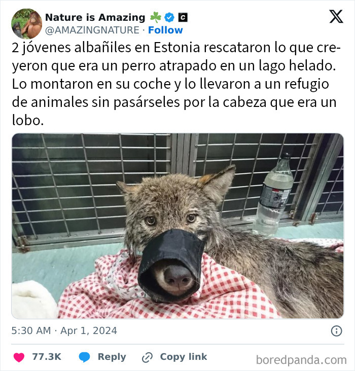 Un errorcillo