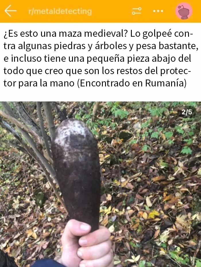 Persona sosteniendo una supuesta maza medieval sin darse cuenta del peligro en un bosque con hojas secas.