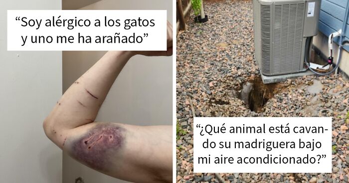 Brazo con arau00f1azos y moretu00f3n por alergia a gatos y madriguera cavada bajo aire acondicionado, situaciones peligrosas sin darse cuenta.