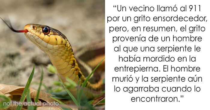 Serpiente con lengua afuera cerca de texto sobre hallazgos increu00edbles de mu00e9dicos forenses durante autopsias.