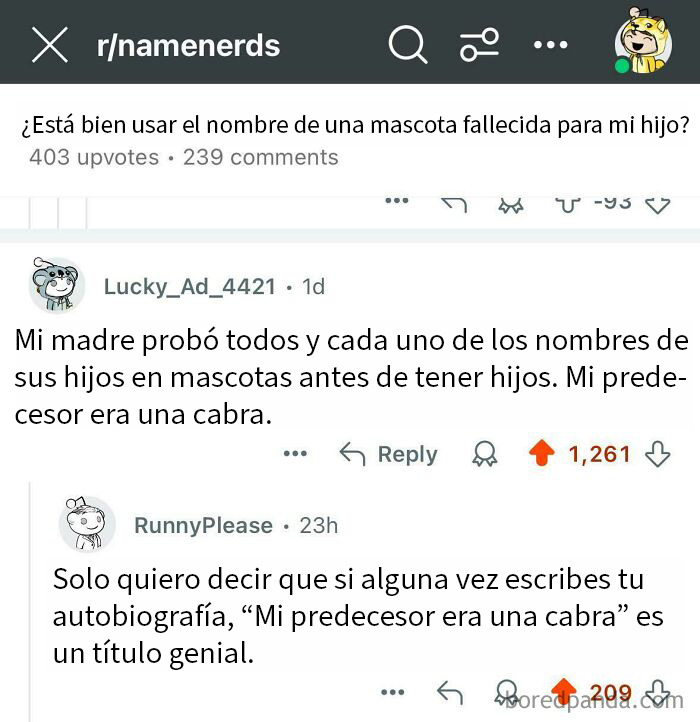 Comentario divertido sobre usar nombres de mascotas fallecidas para hijos, frases que dejaron a todos sin palabras. Comentario divertido sobre usar nombres de mascotas fallecidas para hijos, frases que dejaron a todos sin palabras.