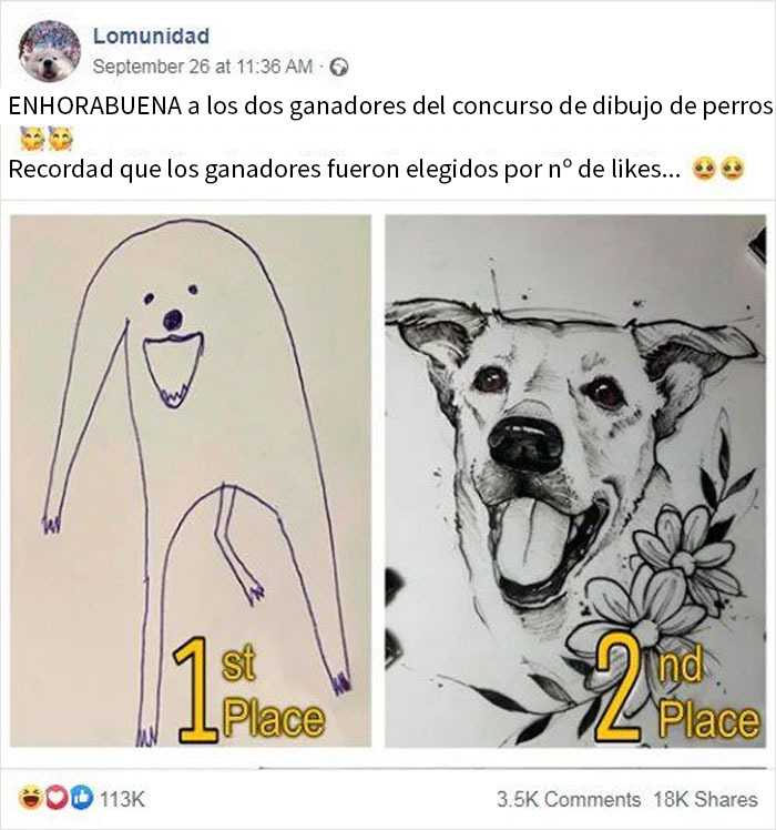 Concurso de dibujo de perros con comedia accidental, mostrando los ganadores del primer y segundo lugar.