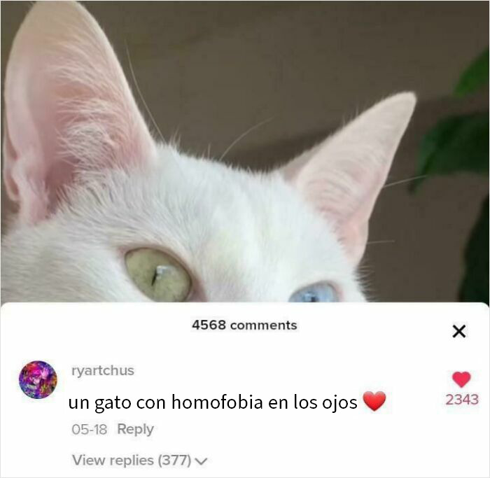 Captura de pantalla de tuit con respuestas divertidas y comentarios inesperados sobre frases dichas dormidas.