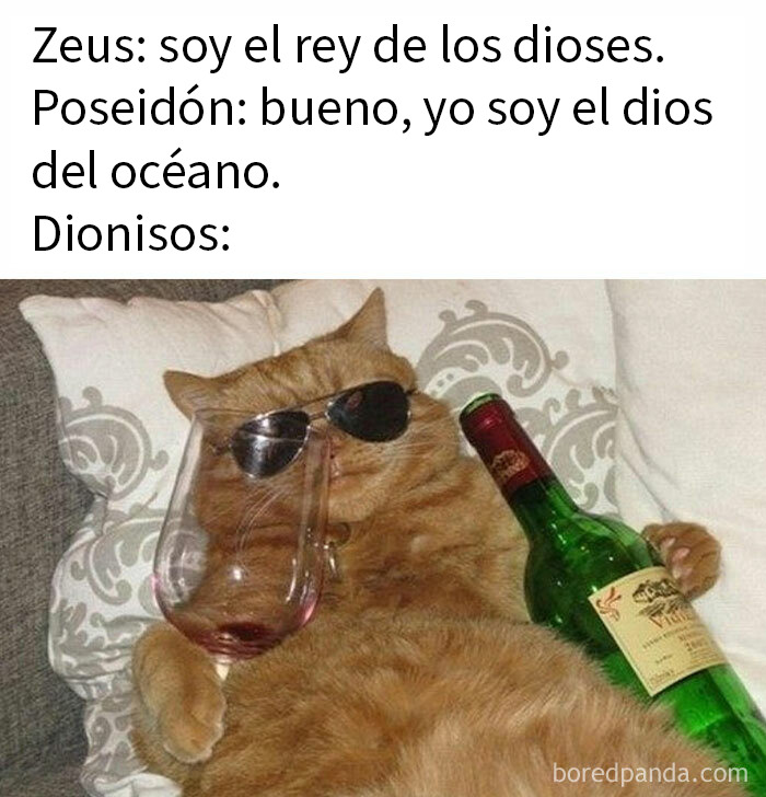Gato con gafas de sol sosteniendo botella de vino y copa, meme divertido sobre mitos y dioses griegos en familia. Gato con gafas de sol sosteniendo botella de vino y copa, meme divertido sobre mitos y dioses griegos en familia.