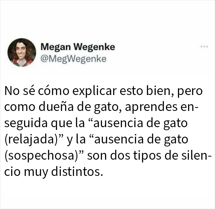Tuit divertido sobre experiencias humanas que compara el silencio relajado y sospechoso de un gato ausente. Tuit divertido sobre experiencias humanas que compara el silencio relajado y sospechoso de un gato ausente.