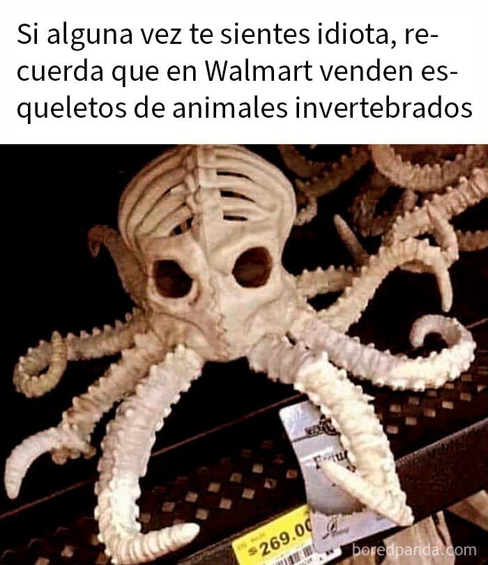 Esqueleto de animal invertebrado a la venta en Walmart, imagen divertida y confusa de People of Walmart.