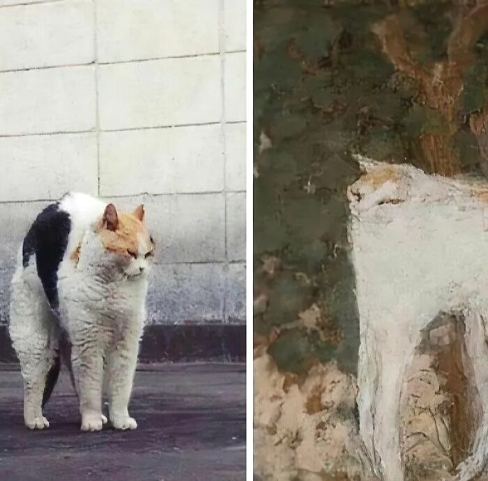 Gato real frente a mural medieval con imagen similar representando gato antiguo en arte medieval divertido.