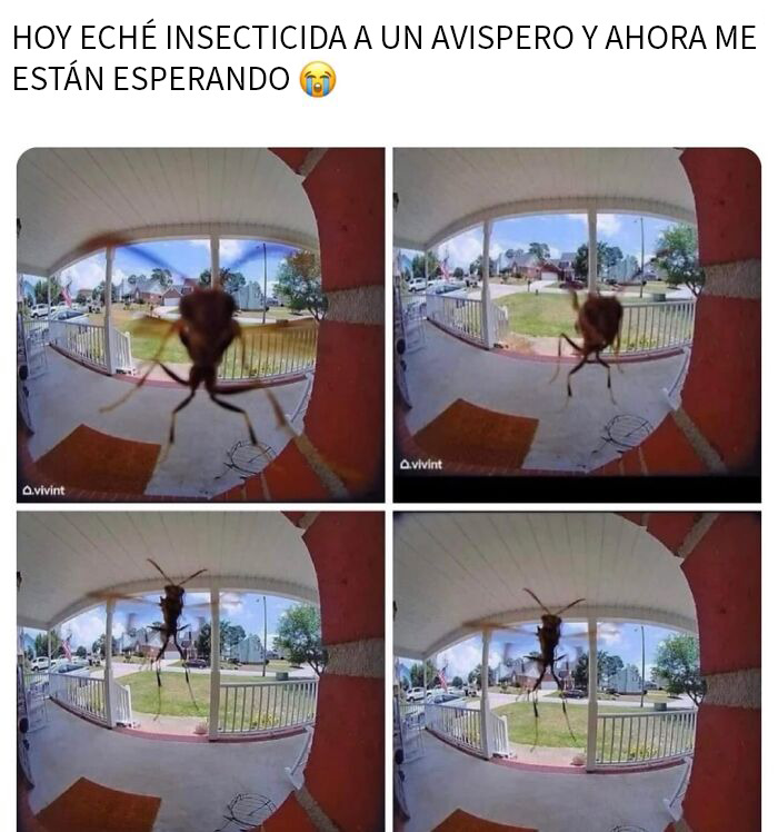 Tuit humorístico sobre no ver TikToks y preferir reels de Instagram, ejemplo divertido de memes aleatorios para reír rápido.