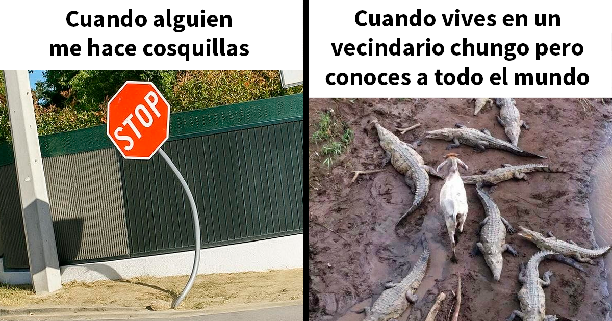 20 Divertidos memes que te atacan personalmente