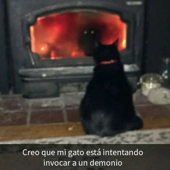Gato negro frente a chimenea con ojos brillantes en oscuridad, meme adorable y divertido de gatos que calienta el alma.
