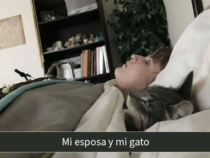 Mujer y gato durmiendo juntos en cama, mostrando vínculo adorable y memes de gatos divertidos que calman el alma.