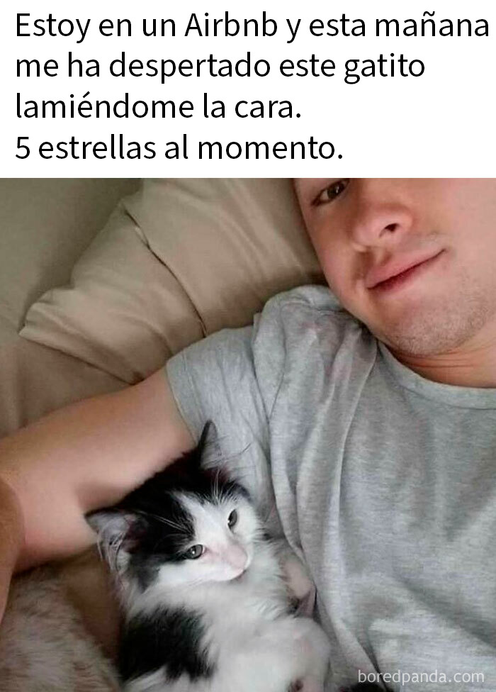 Hombre recostado con un adorable gatito blanco y negro, imagen divertida de memes de gatos tiernos para animar el alma.
