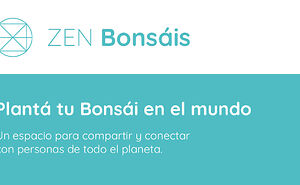 Creé Un Mapa Mundial Donde Cualquiera Puede Plantar Un Bonsái Digital Para Compartir Calma Y Presencia