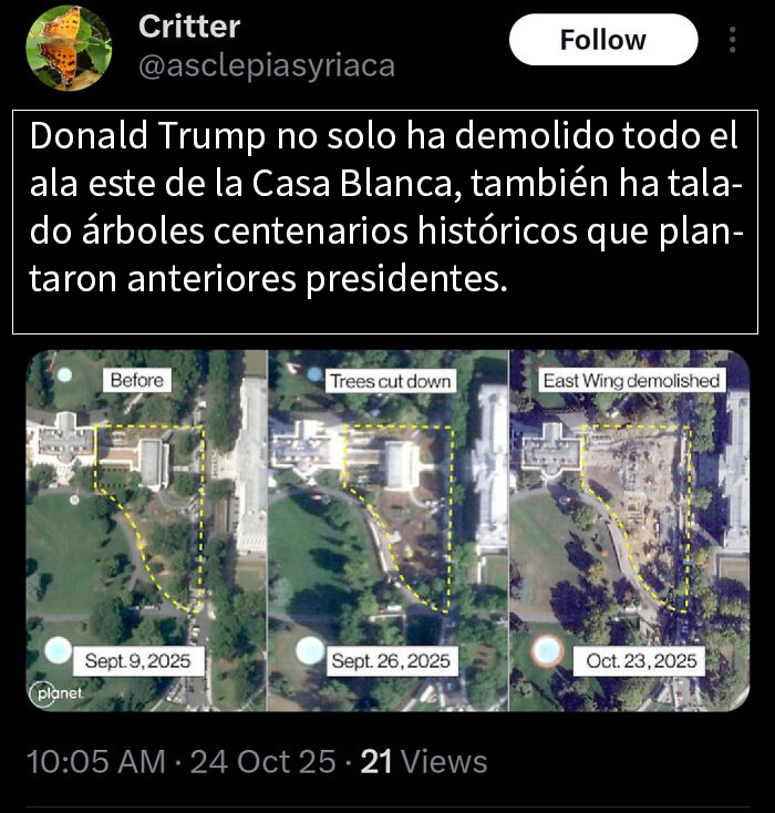 Imágenes aéreas muestran intento fallido con demolición y tala de árboles históricos en ala este de la Casa Blanca.
