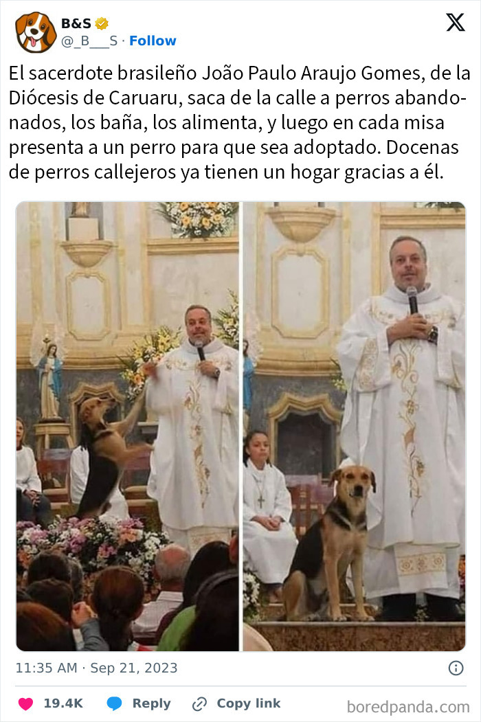 Sacerdote brasileño presenta perros rescatados durante misa, imagen adorable que ilumina tu feed con publicaciones tiernas y conmovedoras.