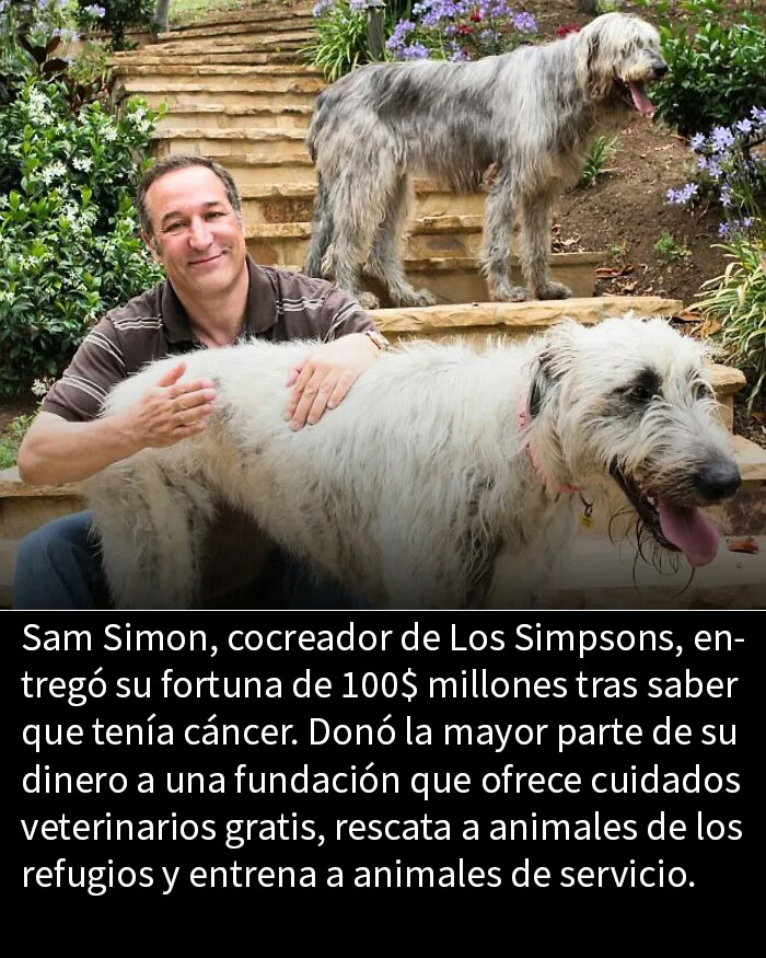 Hombre sonriente acariciando perro grande en jardín, reflejando publicaciones adorables y tiernas en Instagram.