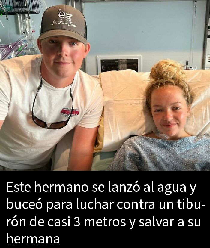 Perro adorable protege rebaño durante incendio en California, un post conmovedor para alegrar tu feed de Instagram.