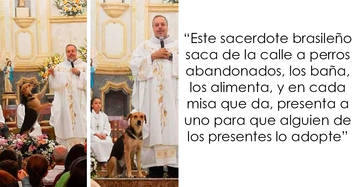 20 Publicaciones tan adorables como reconfortantes para alegrarte el día