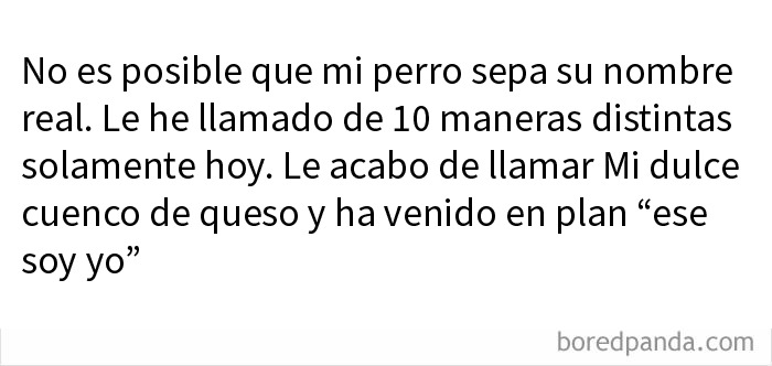 Meme divertido sobre un perro con muchos apodos mostrando humor para quienes buscan su dosis diaria de risas.