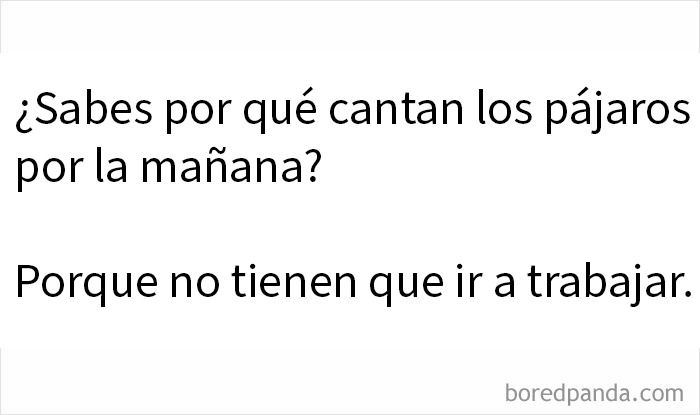 Memes divertidos sobre por qué los pájaros cantan en la mañana y no tienen que ir a trabajar para su dosis diaria de risa.