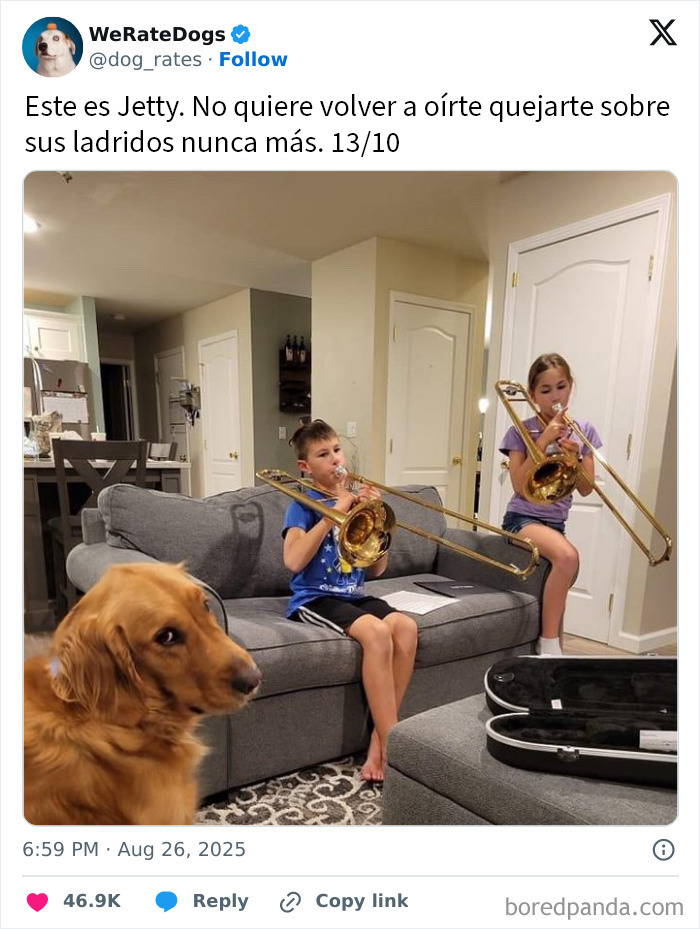 Perro adorable sentado en sofá mientras dos niños tocan trombón, imagen tierna de perros adorables para We Rate Dogs.