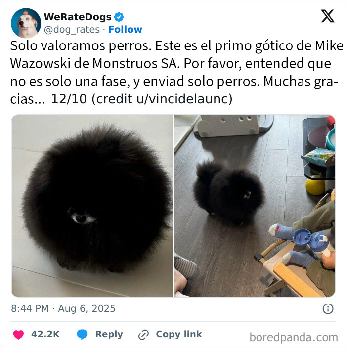 Perro adorable muy esponjoso comparado por We Rate Dogs con un personaje gótico, destacando su ternura única.