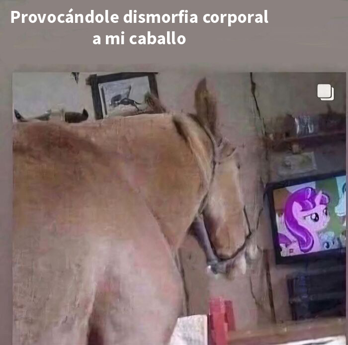 Memes divertidos con caballo mirando caricatura en televisión, combinando humor aleatorio y entretenimiento visual.