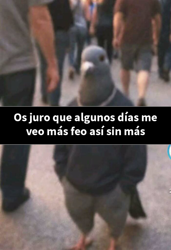 Mujer con expresión confundida en meme divertido que refleja sentimientos complejos y humor random entretenido.