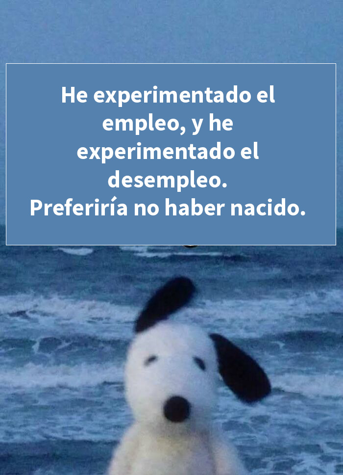 Conversación divertida en mensajes de texto con memes graciosos que son entretenidos y aleatorios para reír sin parar.