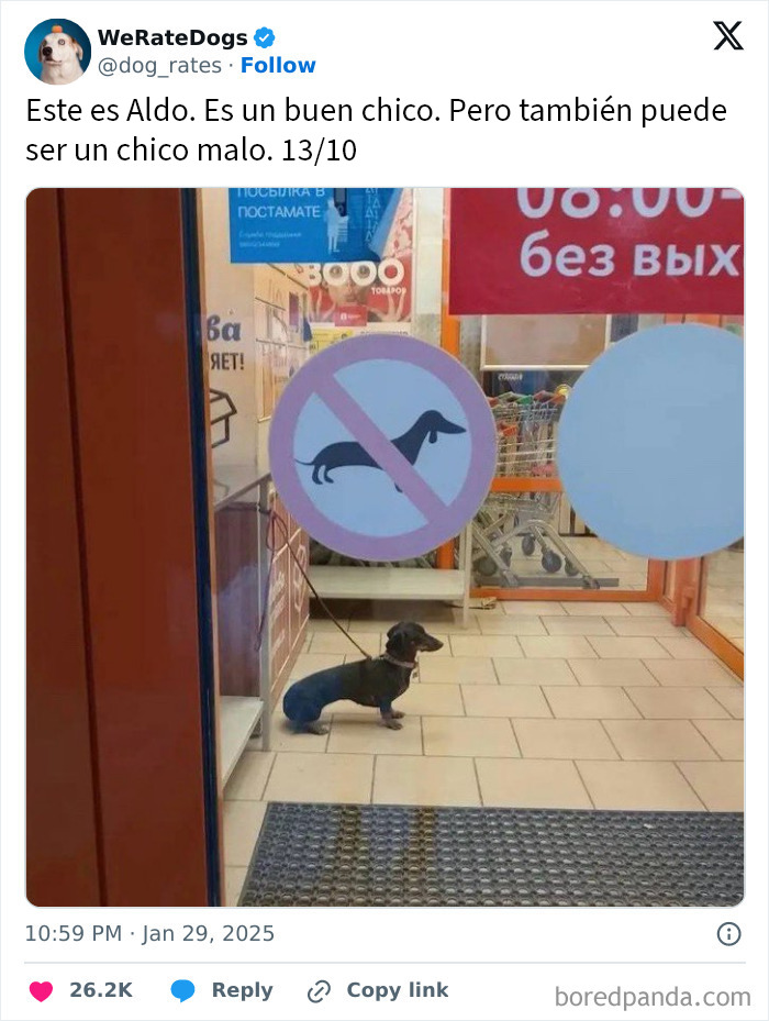 Perro adorable de pelaje dorado mirando por la ventana del auto mientras sostiene un juego de llaves.