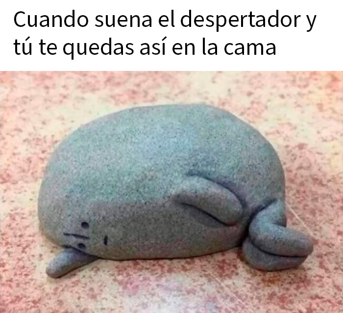 Memes aleatorios divertidos con texto sobre lo pesado que sería usar los brazos para cargar objetos grandes.