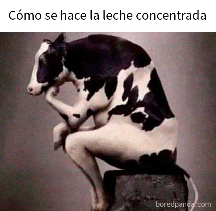 Meme divertido con una piedra que parece una púa de guitarra, ideal para reír con memes aleatorios rápidos.