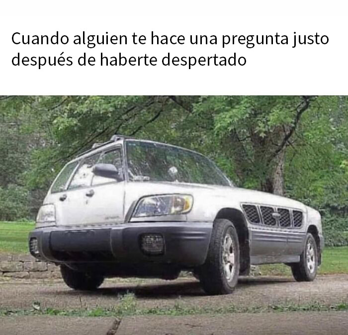 Texto en imagen con cinco elementos clave de la personalidad humana, concepto usado en memes divertidos para distraerse de problemas.