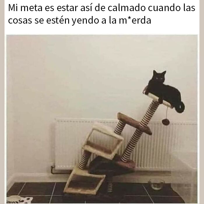 Gato con bolsa de papel en la cabeza, representando memes divertidos para distraerse en vez de enfrentar problemas reales.