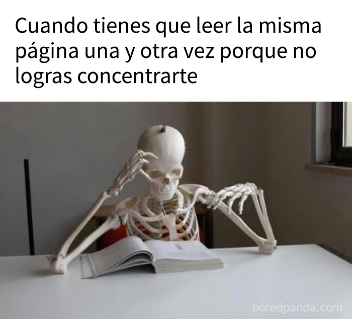 Esqueleto sentado leyendo libro repetidamente, ilustrando humor sobre compartir una sola célula cerebral colectiva.