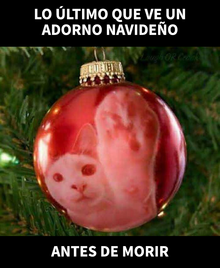 Adorno navideño con imagen de gato, meme gracioso de Navidad que captura el ambiente festivo de la temporada jolly.