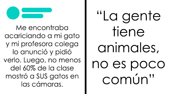 Estas 15 personas criticaron a otros por mentir en línea, pero resultó que las historias eran ciertas