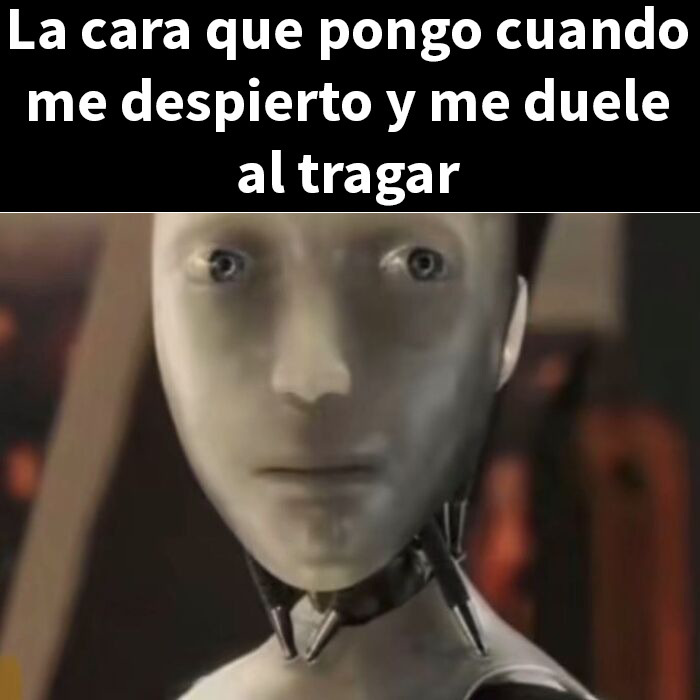 Dormir junto a un caballo miniatura en un establo acogedor, imagen divertida para entretenerse con posts cómicos.