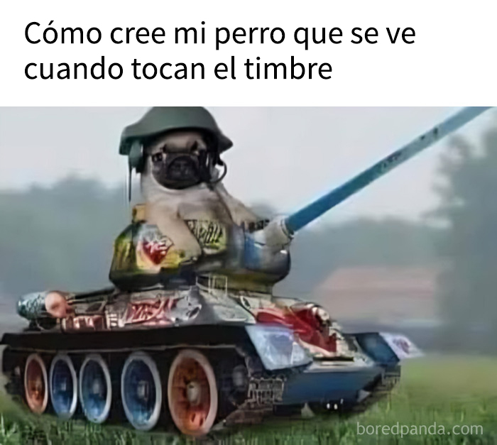 Perro vestido de tanque en meme divertido que genera dopamina instantánea y alegría inmediata.