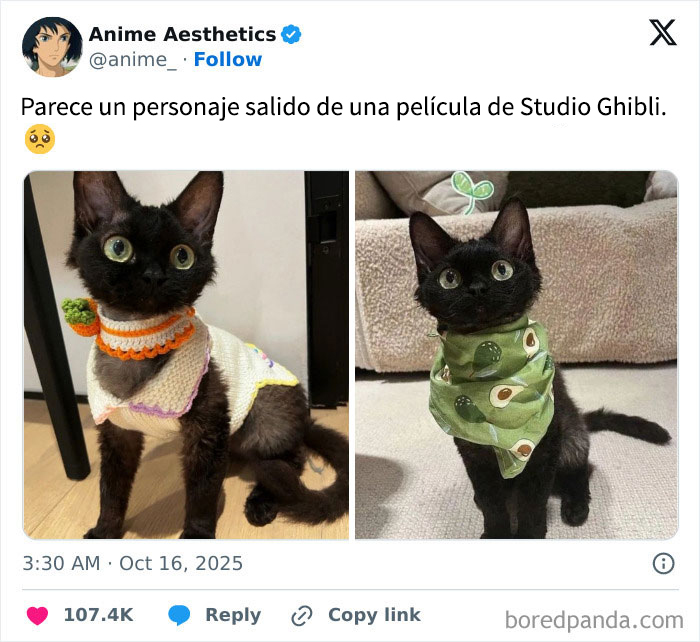 Gato negro con grandes ojos verdes vestido con bufanda y suéter, imagen tierna para memes edificantes en días malos.