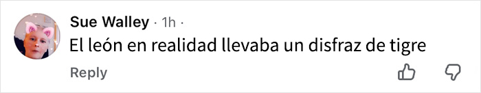 Comentario en redes sociales sobre una función de El mago de Oz que indignó al público y causó salida masiva de espectadores.
