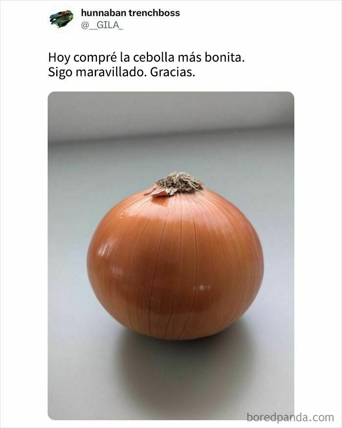 Cebolla perfectamente redonda y brillante, imagen divertida relacionada con memes de comida deliciosos y humorísticos.