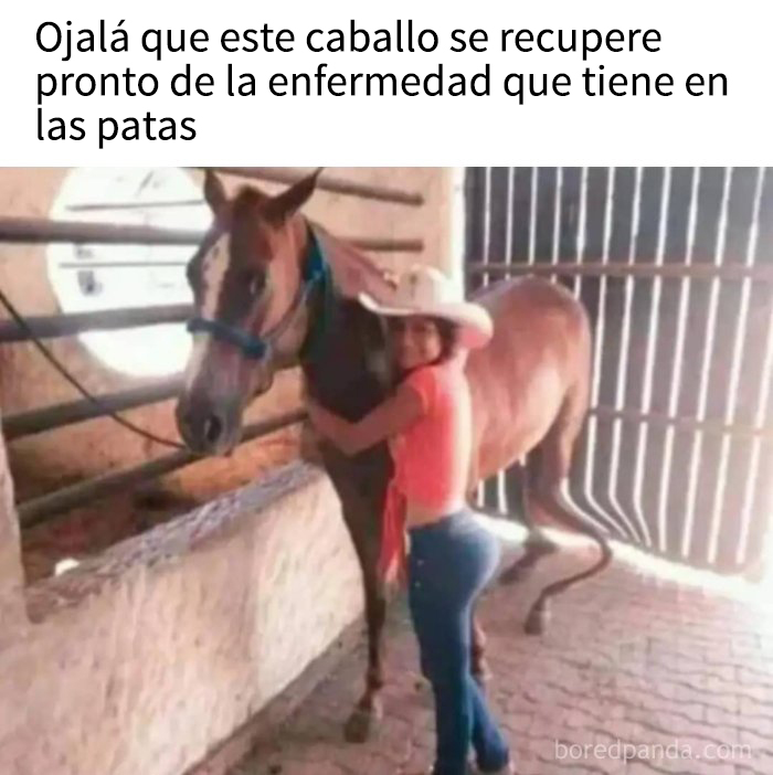 Mujer abrazando a un caballo con enfermedad en la pierna, mostrando humor oscuro en memes divertidos.