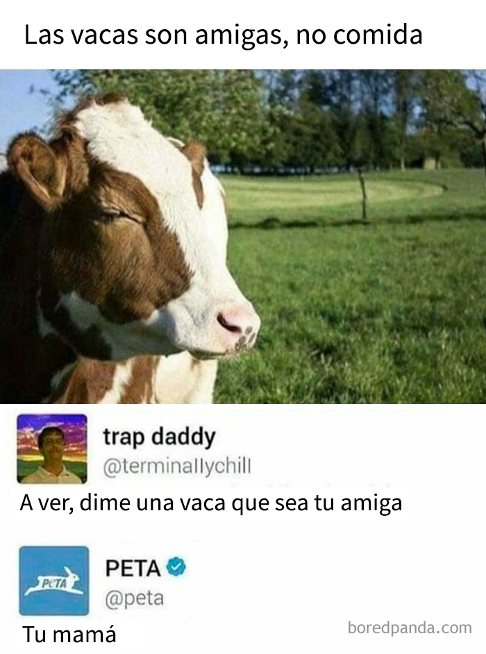 Meme con imagen de vaca y comentarios humorísticos con toque oscuro sobre amistad y alimentación.