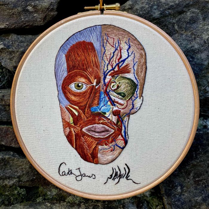 Hago modelos bordados muy meticulosos de la anatomía humana y animal