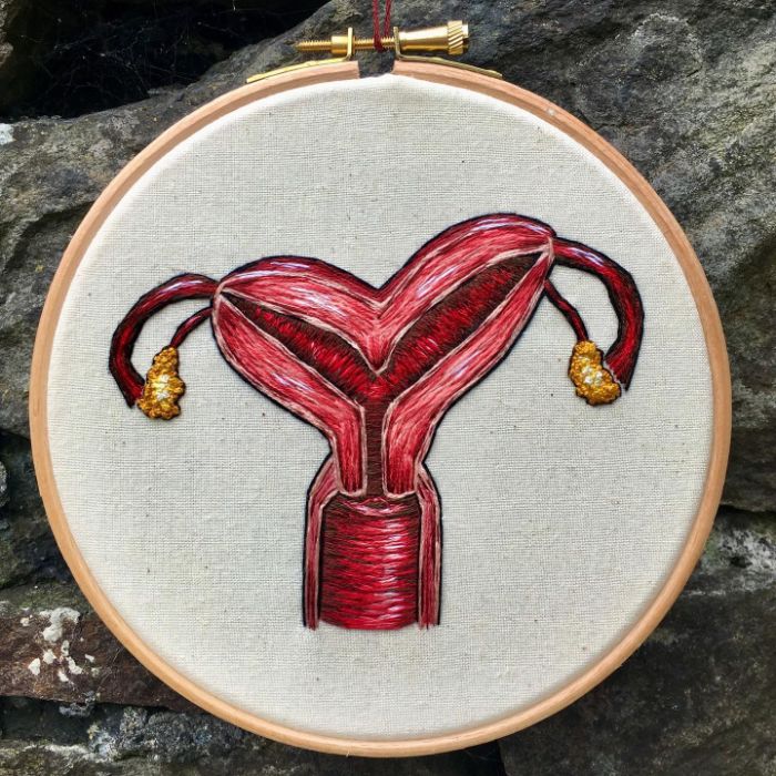 Hago modelos bordados muy meticulosos de la anatomía humana y animal