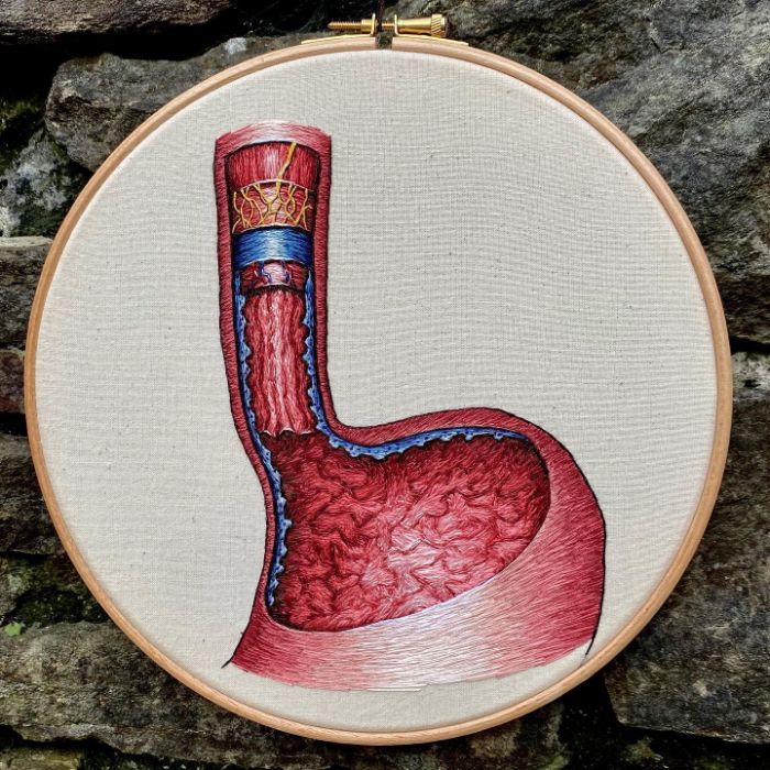 Hago modelos bordados muy meticulosos de la anatomía humana y animal